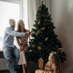 Набор елочных игрушек "Снегири" 2 шт. — изображение 2